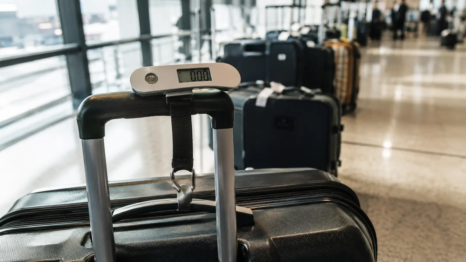 Etekcity vs Samsonite Luggage Scale: Is the Budget Pick Good Enough?